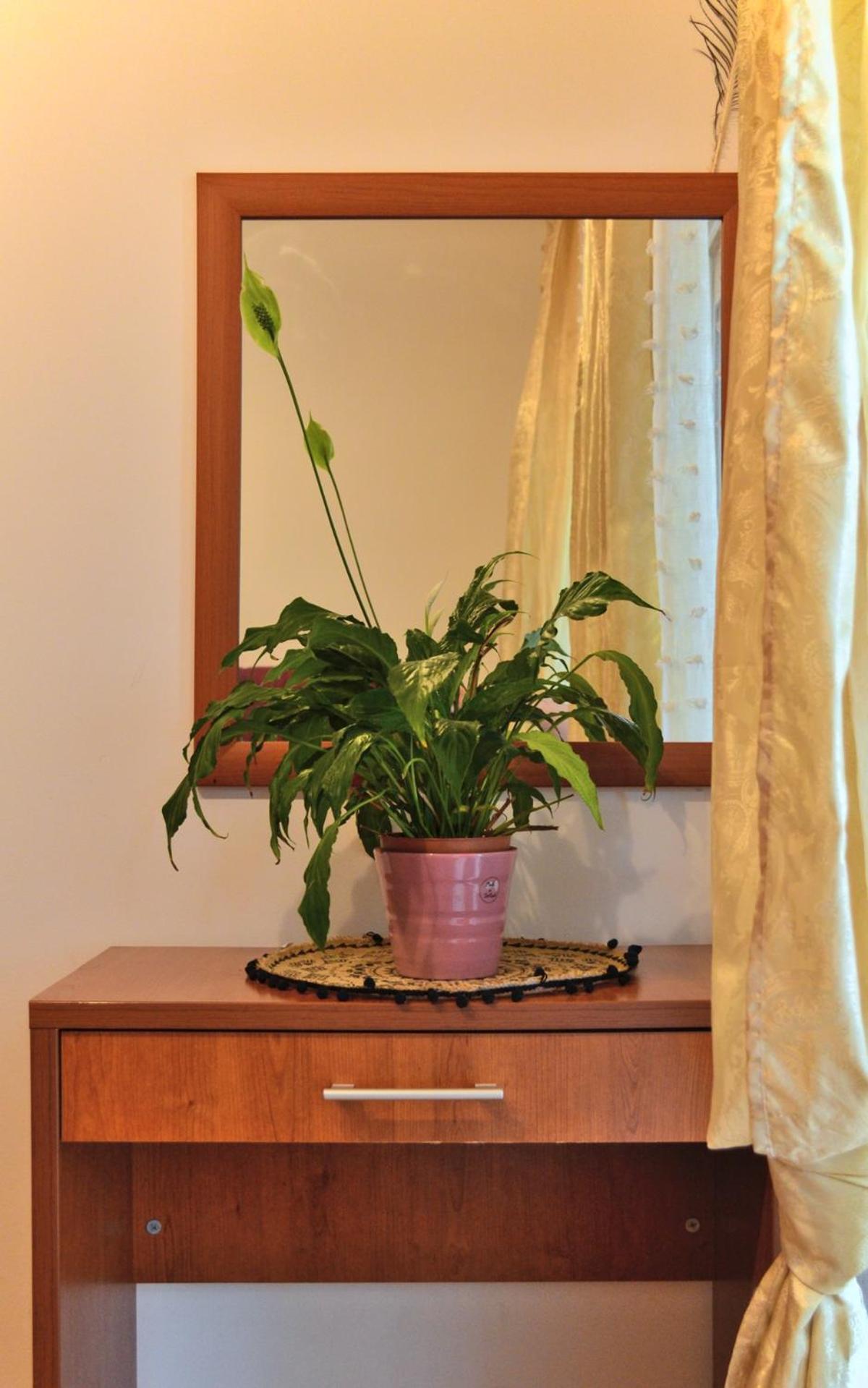 Appartement Club House With Garden And Pool *